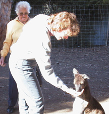 Me feeding a kangaroo